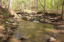 Undeveloped Land for sale in Pickens County, Georgia