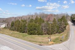 Undeveloped Land for sale in Montgomery County, Tennessee