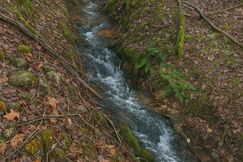 Riverfront Property for sale in Sevier County, Tennessee
