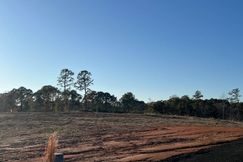 Undeveloped Land for sale in Sabine Parish, Louisiana