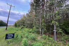 Undeveloped Land for sale in Sabine Parish, Louisiana