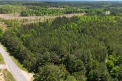 Hunting Land for sale in Cleburne County, Alabama