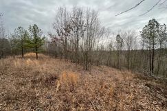 Hunting Land for sale in Lauderdale County, Alabama