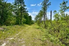Undeveloped Land for sale in Bryan County, Georgia