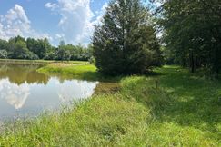 Property for sale in Wayne County, Illinois
