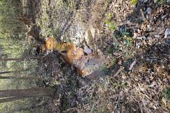 Recreational Property for sale in Dale County, Alabama