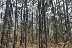 Undeveloped Land for sale in Bibb County, Alabama