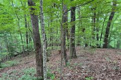 Undeveloped Land for sale in Rabun County, Georgia
