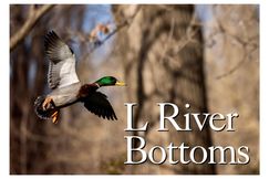 Riverfront Property for sale in Cross County, Arkansas