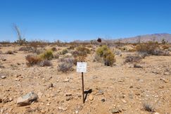 Property for sale in Mohave County, Arizona