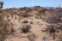 Property for sale in Mohave County, Arizona