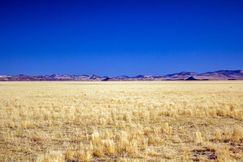Undeveloped Land for sale in Harney County, Oregon