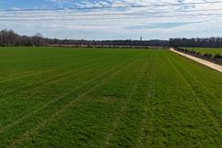 Undeveloped Land for sale in Covington County, Alabama