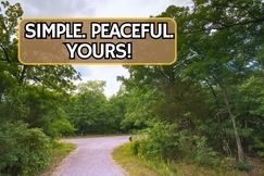Undeveloped Land for sale in Ozark County, Missouri
