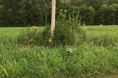 Recreational Property for sale in Izard County, Arkansas