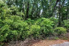 Undeveloped Land for sale in Levy County, Florida