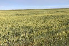 Ranch Property for sale in Weld County, Colorado