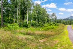 Undeveloped Land for sale in Gilmer County, Georgia