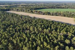 Undeveloped Land for sale in Tift County, Georgia