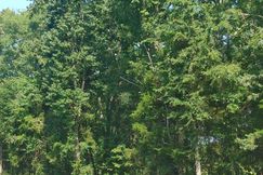 Recreational Property for sale in Laurens County, South Carolina
