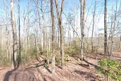 Undeveloped Land for sale in Rabun County, Georgia