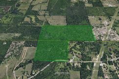 Undeveloped Land for sale in Miller County, Arkansas