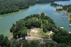 Lakefront Property for sale in Winston County, Alabama