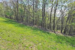 Undeveloped Land for sale in Jackson County, Alabama