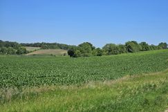 Lakefront Property for sale in Otter Tail County, Minnesota