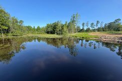 Recreational Property for sale in Lexington County, South Carolina
