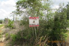 Timberland Property for sale in Baldwin County, Alabama