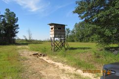 Timberland Property for sale in Baldwin County, Alabama