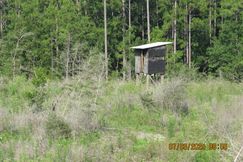 Timberland Property for sale in Baldwin County, Alabama