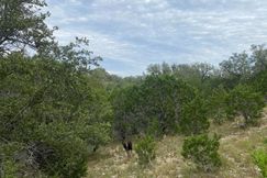Property for sale in Uvalde County, Texas