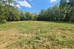 Undeveloped Land for sale in Jefferson County, Illinois