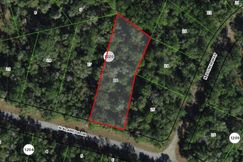 Undeveloped Land for sale in Citrus County, Florida