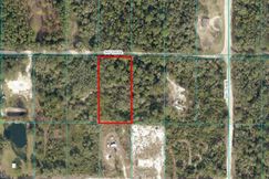 Undeveloped Land for sale in Marion County, Florida