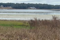 Undeveloped Land for sale in Marion County, Florida
