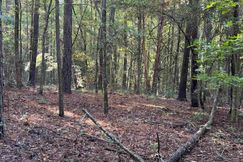 Undeveloped Land for sale in Cherokee County, Texas
