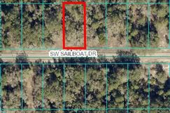 Undeveloped Land for sale in Marion County, Florida