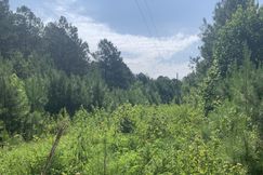 Undeveloped Land for sale in Polk County, Georgia