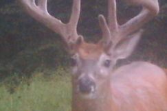 Recreational Property for sale in Grayson County, Kentucky