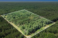 Undeveloped Land for sale in Mecosta County, Michigan