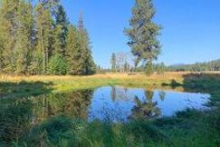 Undeveloped Land for sale in Sanders County, Montana