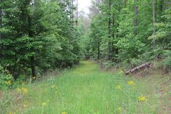 Recreational Property for sale in Winston County, Alabama