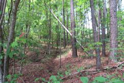 Hunting Land for sale in Cullman County, Alabama