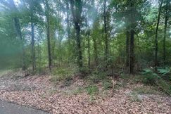 Undeveloped Land for sale in Tangipahoa Parish, Louisiana
