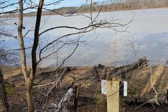 Undeveloped Land for sale in Mecklenburg County, Virginia