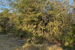 Undeveloped Land for sale in Burleson County, Texas