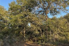 Undeveloped Land for sale in Burleson County, Texas